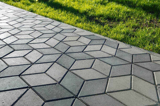 Best Driveway Paving Contractor  in La Junta, CO